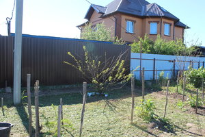 IMG_5514.JPG