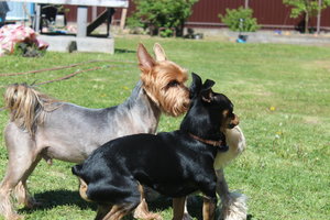 IMG_5633.JPG