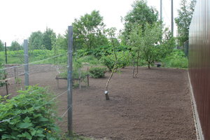 IMG_5712.JPG