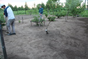 IMG_5726.JPG