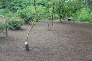 IMG_5715.JPG