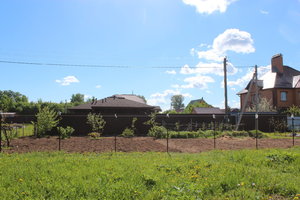 IMG_5420.JPG