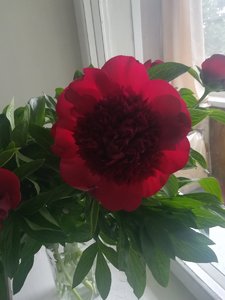 IMG_20210606_085139.jpg