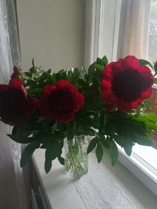 IMG_20210606_085134.jpg