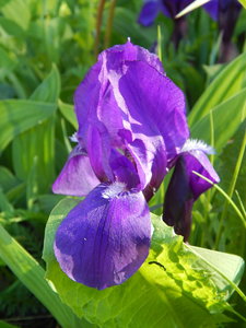DSCN4878.JPG