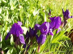 DSCN4885.JPG