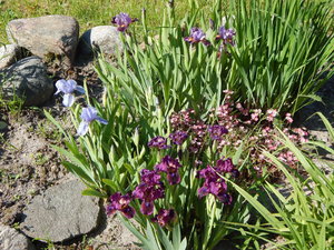 DSCN5019.JPG