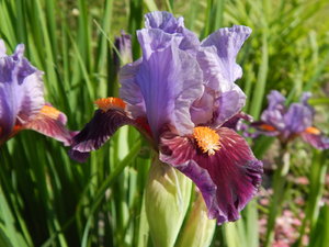 DSCN5026.JPG