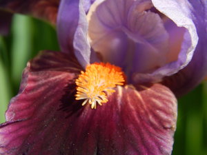 DSCN5027.JPG