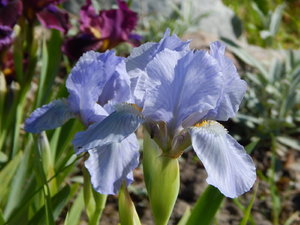 DSCN5028.JPG