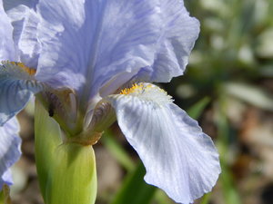 DSCN5030.JPG
