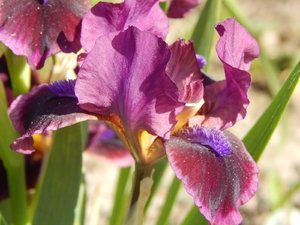 DSCN5031.JPG