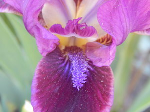 DSCN5033.JPG