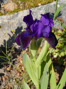DSCN5036.JPG