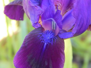 DSCN5038.JPG