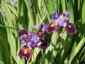 DSCN4936.JPG
