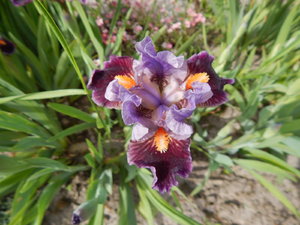 DSCN4972.JPG