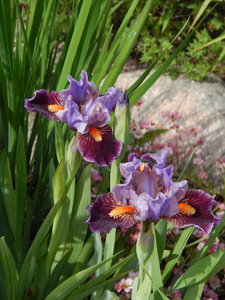 DSCN4973.JPG