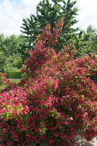 DSC09151.JPG