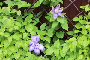 IMG_5758.JPG