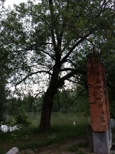 IMG_4790.JPG