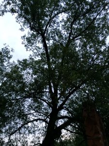 IMG_4791.JPG
