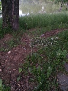 IMG_4820.JPG