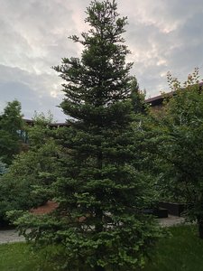 42A201A1-AC8C-4167-852C-894D0F67B879.jpeg