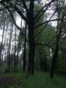 IMG_4658.JPG