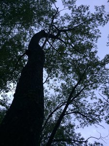 IMG_4663.JPG
