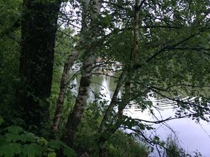 IMG_4666.JPG