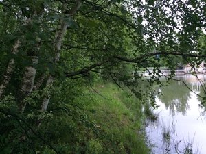 IMG_4673.JPG