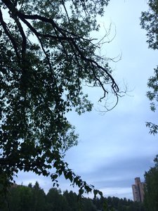 IMG_4671.JPG