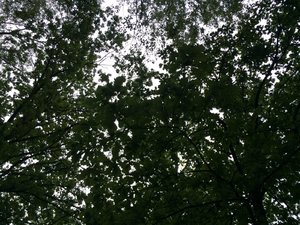 IMG_4678.JPG