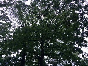 IMG_4680.JPG