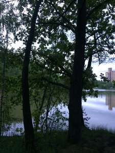 IMG_4684.JPG