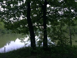 IMG_4679.JPG