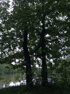 IMG_4681.JPG