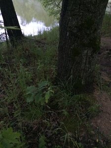IMG_4686.JPG