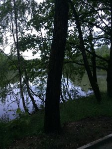 IMG_4687.JPG