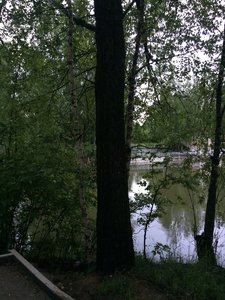IMG_4693.JPG