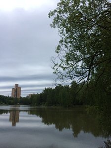 IMG_4696.JPG