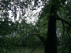 IMG_4705.JPG