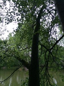 IMG_4704.JPG