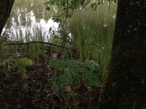 IMG_4706.JPG