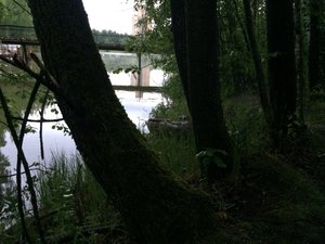 IMG_4707.JPG
