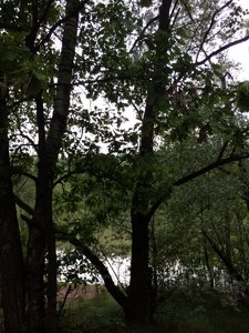IMG_4786.JPG