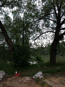 IMG_4792.JPG