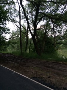 IMG_4801.JPG