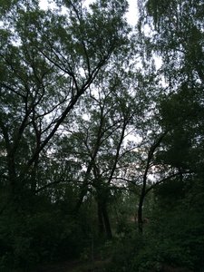 IMG_4810.JPG